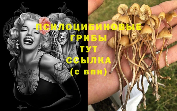 мяу мяу мука Навашино