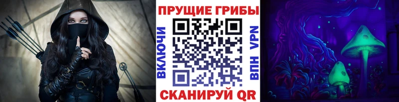 продажа наркотиков  mega tor  Псилоцибиновые грибы мухоморы  Неман 