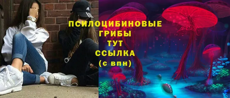 Галлюциногенные грибы Psilocybine cubensis Неман